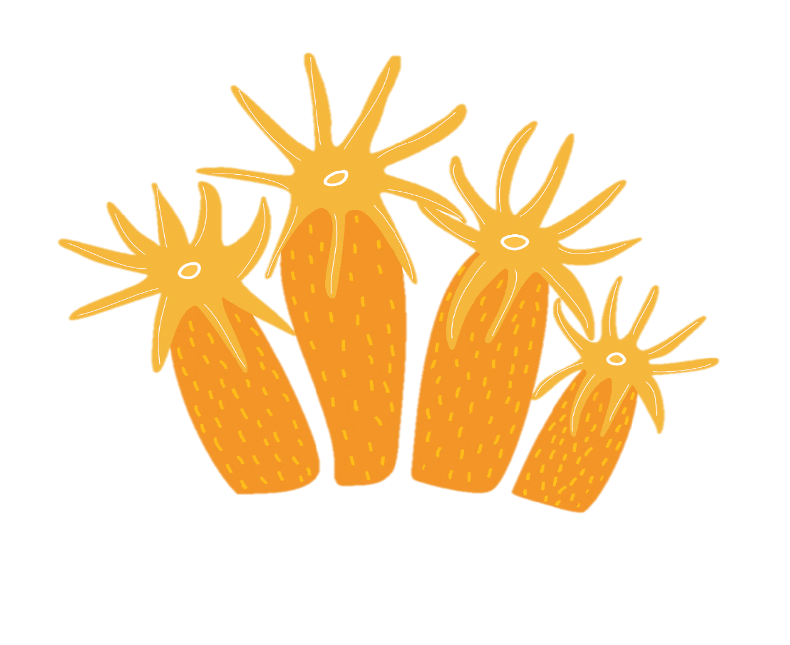 Exploring Coral Diversity.